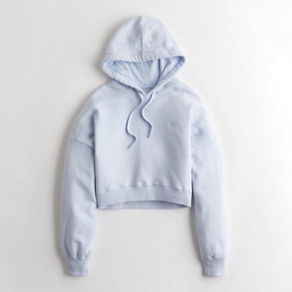 icon hoodie hollister